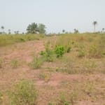 Land for Sale At Apple Matell Estate, Asaba