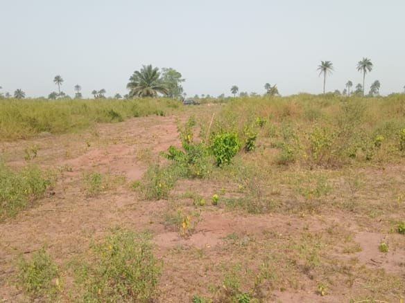 Land for Sale At Apple Matell Estate, Asaba 4 Land for Sale At Apple Matell Estate, Asaba