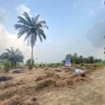 Buy And Build Plots At Jasper Garden Estate