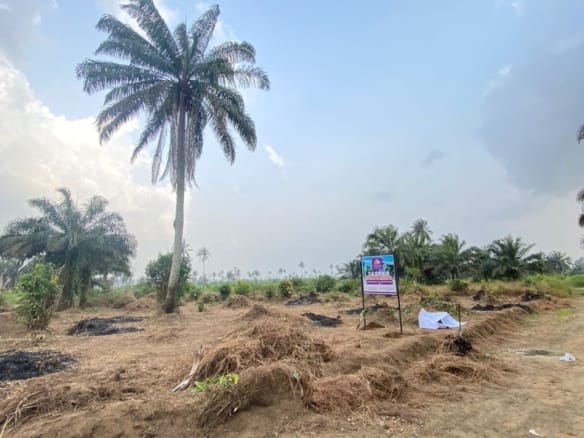 Buy And Build Plots At Jasper Garden Estate 12 Buy And Build Plots At Jasper Garden Estate