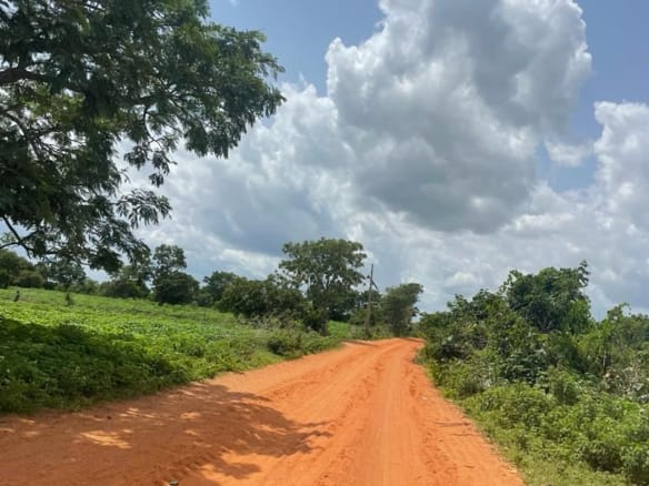 Prime Farmland with Amenities in Ibadan (Ogunran Village) 24 Prime Farmland with Amenities in Ibadan (Ogunran Village)