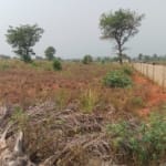 Dry Land Facing the Airport Runway in Umueri Awka