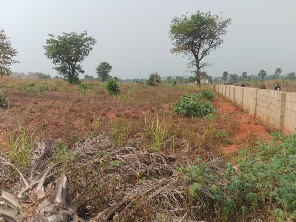 Dry Land Facing the Airport Runway in Umueri Awka 8 Dry Land Facing the Airport Runway in Umueri Awka
