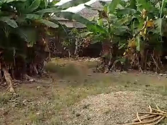 Build Your Dream Home – Half Plot of Land Available Now! 22 Build Your Dream Home – Half Plot of Land Available Now!