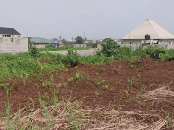 3 Plots Of Land At Bandu Village 9 3 Plots Of Land At Bandu Village
