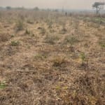 100 Acres in Ido, Ibadan – Ready for Development