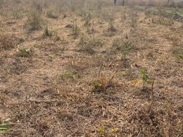 100 Acres in Ido, Ibadan – Ready for Development 10 100 Acres in Ido, Ibadan – Ready for Development