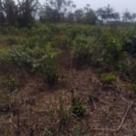 100 Acres at Ado-Awaye, Oyo State – Affordable Investment