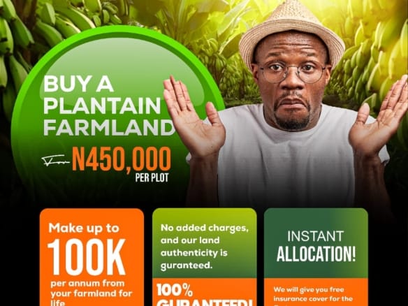 Buy a Fully Developed Plantain Farm for Just 450k Per Plot! 22 Buy a Fully Developed Plantain Farm for Just 450k Per Plot!