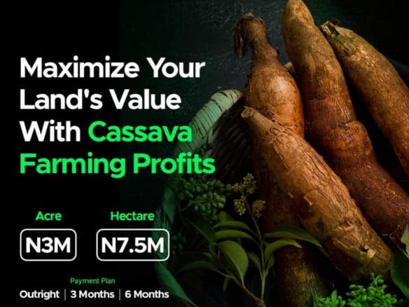 ROCKVIEW Farms & Resort - Own Land & Profit from Cassava Farming! 4 ROCKVIEW Farms & Resort - Own Land & Profit from Cassava Farming!