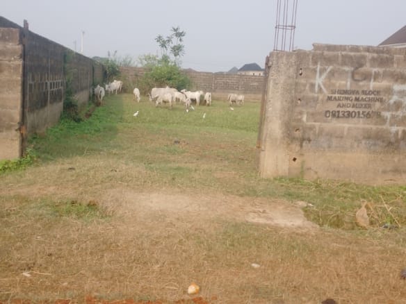Land Measuring 700 SQM For Sale in Lagos 16 Land Measuring 700 SQM For Sale in Lagos