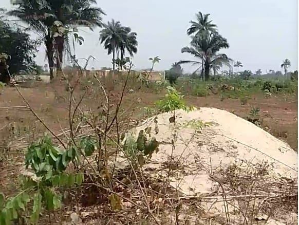 Prime lands available for Sale at Max Heights Estate, Asaba 6 Prime lands available for Sale at Max Heights Estate, Asaba