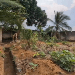 450+ SQM Land at Ring Road 3, Uyo