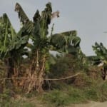 Plot of Land at Osongama Estate, Uyo