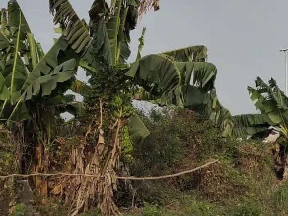 Plot of Land at Osongama Estate, Uyo 10 Plot of Land at Osongama Estate, Uyo