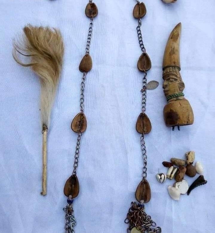 Traditional herbalists