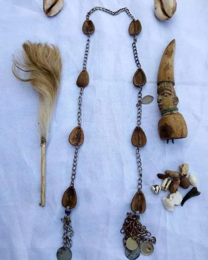 Traditional herbalists