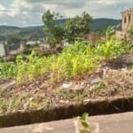 450 SQM Serviced Plot Land