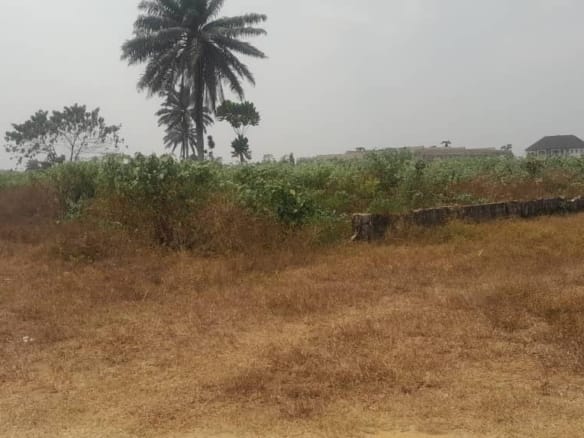 Prime Land with high potential for ROI. 12 Prime Land with high potential for ROI.