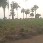 Prime land for sale in Charis Court Estate Uyo.