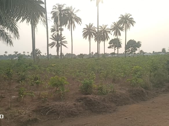 Prime land for sale in Charis Court Estate Uyo. 8 Prime land for sale in Charis Court Estate Uyo.