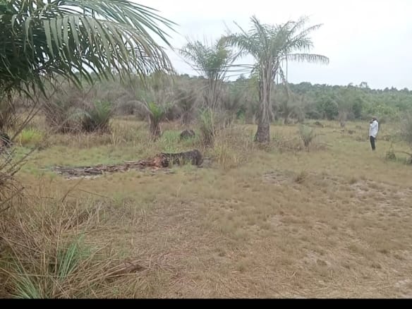 Plots of Land Minutes From Dangote Refinery in Ibeju-Lekki Ode-Omi 7 Plots of Land Minutes From Dangote Refinery in Ibeju-Lekki Ode-Omi