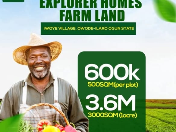Farmland in Iwoye Village, Owode-Ilaro, Ogun State 22 Farmland in Iwoye Village, Owode-Ilaro, Ogun State