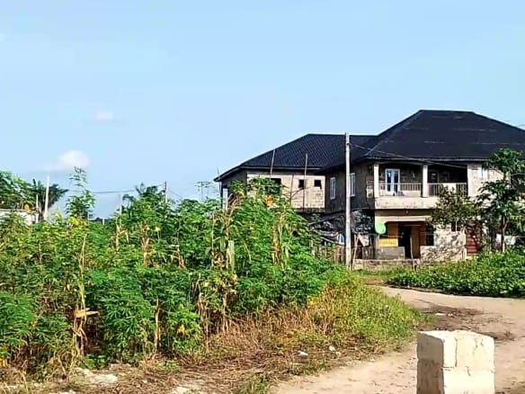 Landed Property Measuring 100 ft 50 2 Landed Property Measuring 100 ft 50