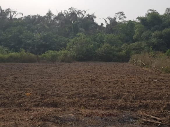 Prime Land with Deed of Assignment in Epe 2 Prime Land with Deed of Assignment in Epe