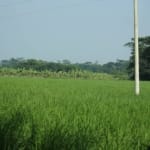How Many Plots of Land Make an Acre? Understanding Land Sizes in Nigeria