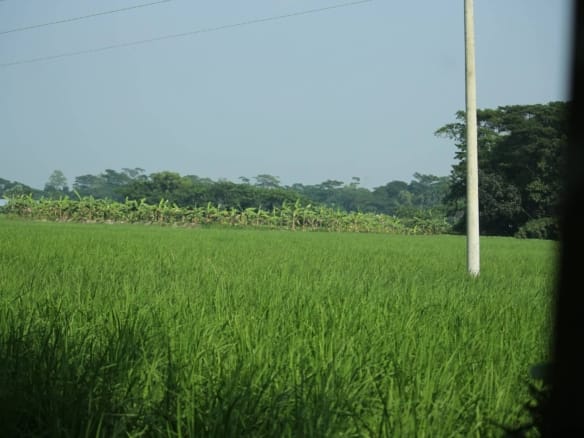 How Many Plots of Land Make an Acre? Understanding Land Sizes in Nigeria 4 How Many Plots of Land Make an Acre