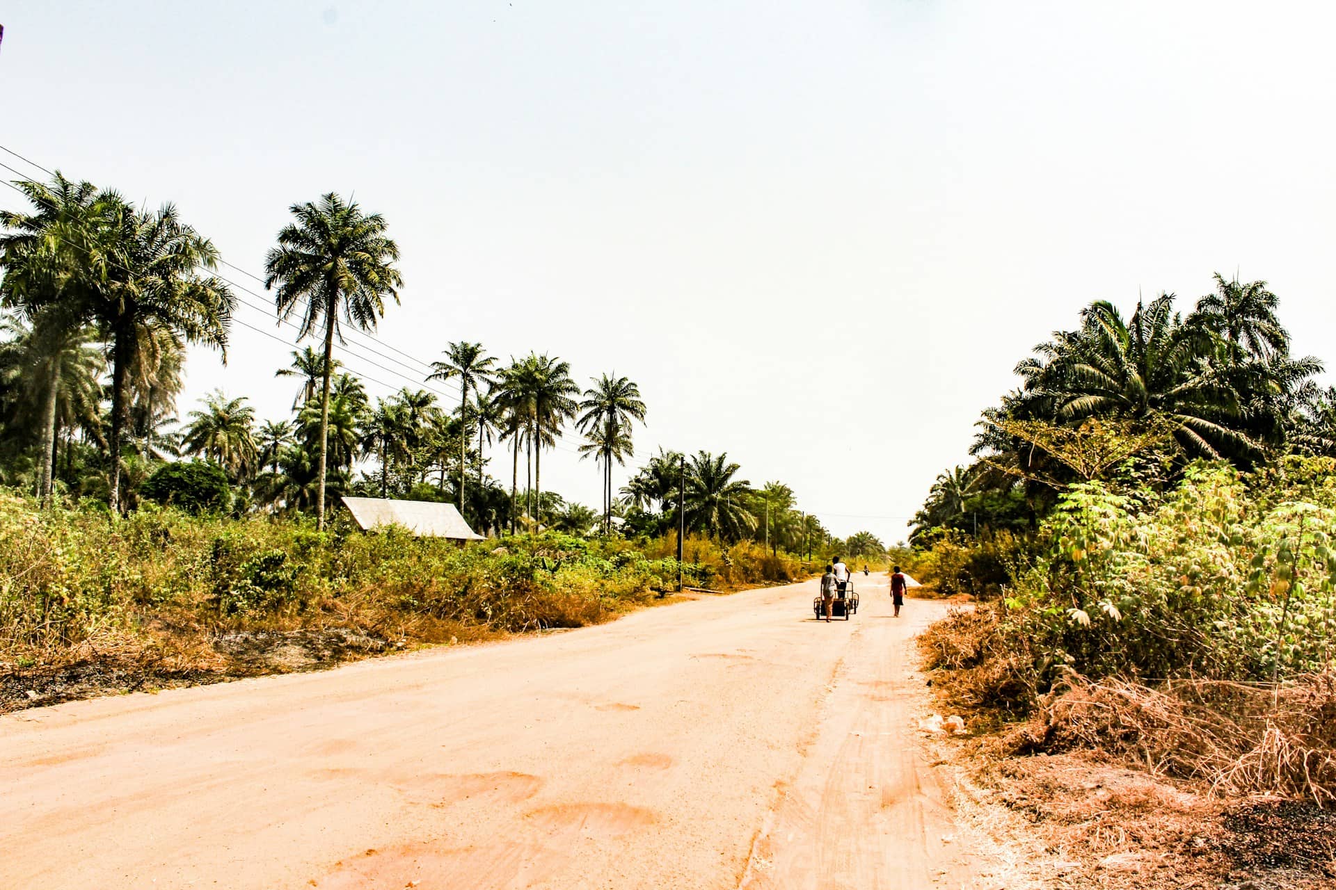How to Sell Land Fast in Nigeria: Proven Tips for Quick Deals 1 Land photo