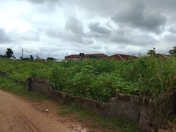 Two plots of land in Eziobodo, FUTO 2 Two plots of land in Eziobodo, FUTO