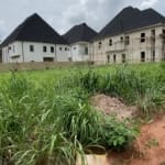 Prime Land with Deed in Asaba