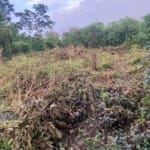 A plot of land with no issues