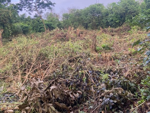 A plot of land with no issues 12 A plot of land with no issues