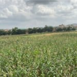 Prime land in Utako, Abuja with C of O