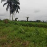 Hectares of land (6100 plots) for sale in Botem Tai, Saapenwa, Rivers