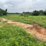 The Most Genuine Land For Sale in Itokin Epe Lagos