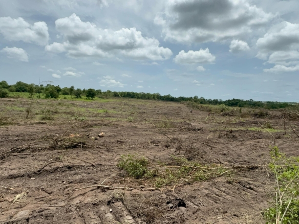 Nest Farm City - Let your land pay you back 8 Nest Farm City - Let your land pay you back