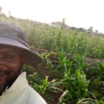 Acres of Land for sale in Wasimi, Ogun State