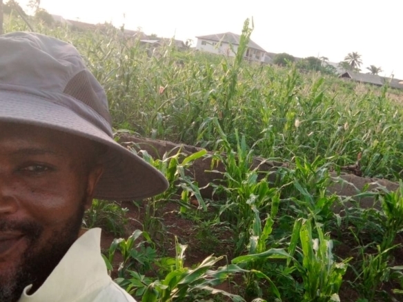 Acres of Land for sale in Wasimi, Ogun State 14 Acres of Land for sale in Wasimi, Ogun State