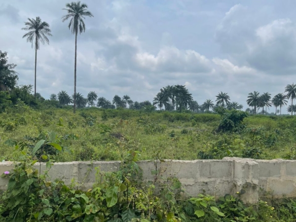 Prime land at , Igwuruta port harcourt 4 Prime land at , Igwuruta port harcourt