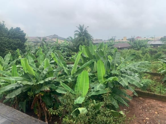 Ecstatic Land in Asaba Delta state Close to Airport 12 Ecstatic Land in Asaba Delta state Close to Airport