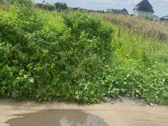Affordable And Genuine Plots Of Land For Sale At Ijagemo,Ijegun 14 Affordable And Genuine Plots Of Land For Sale At Ijagemo,Ijegun