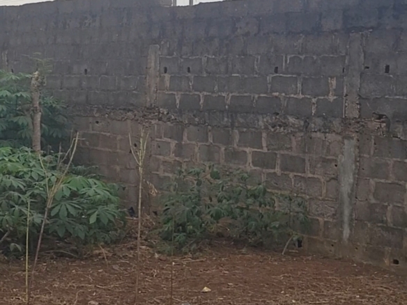10 Gated Plots at a good location in Lusada - Igbesa 10 10 Gated Plots at a good location in Lusada - Igbesa