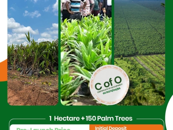Palm Crest 2: Own a Piece of Nigeria’s Thriving Palm Oil Industry! 6 Palm Crest 2: Own a Piece of Nigeria’s Thriving Palm Oil Industry!