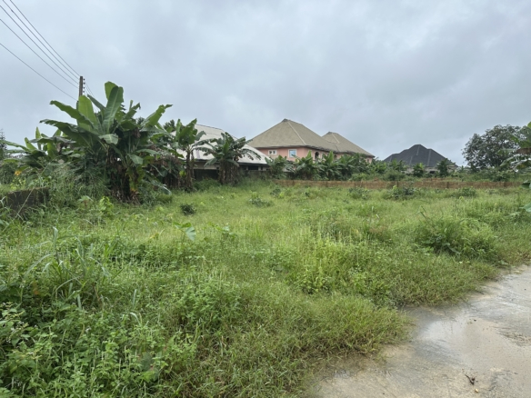 3 Plots of 2500 SQM Up for Grabs 4 3 Plots of 2500 SQM Up for Grabs