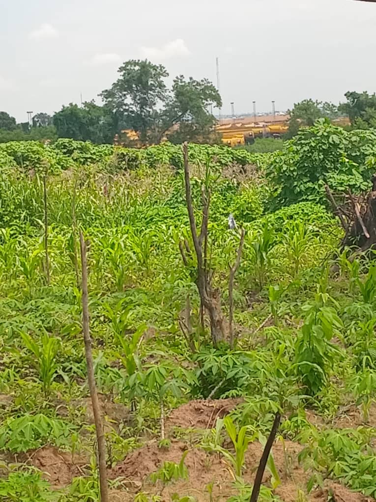 A standard and full plot of land for sale