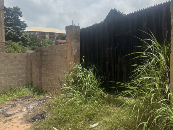 A plot of land in a serene landscape